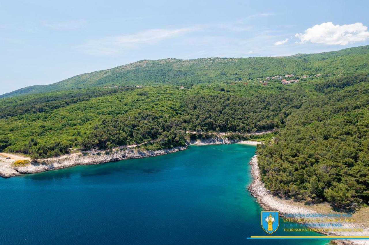 Villa Amber Yourcroatiaholiday Drenje  Eksteriør billede
